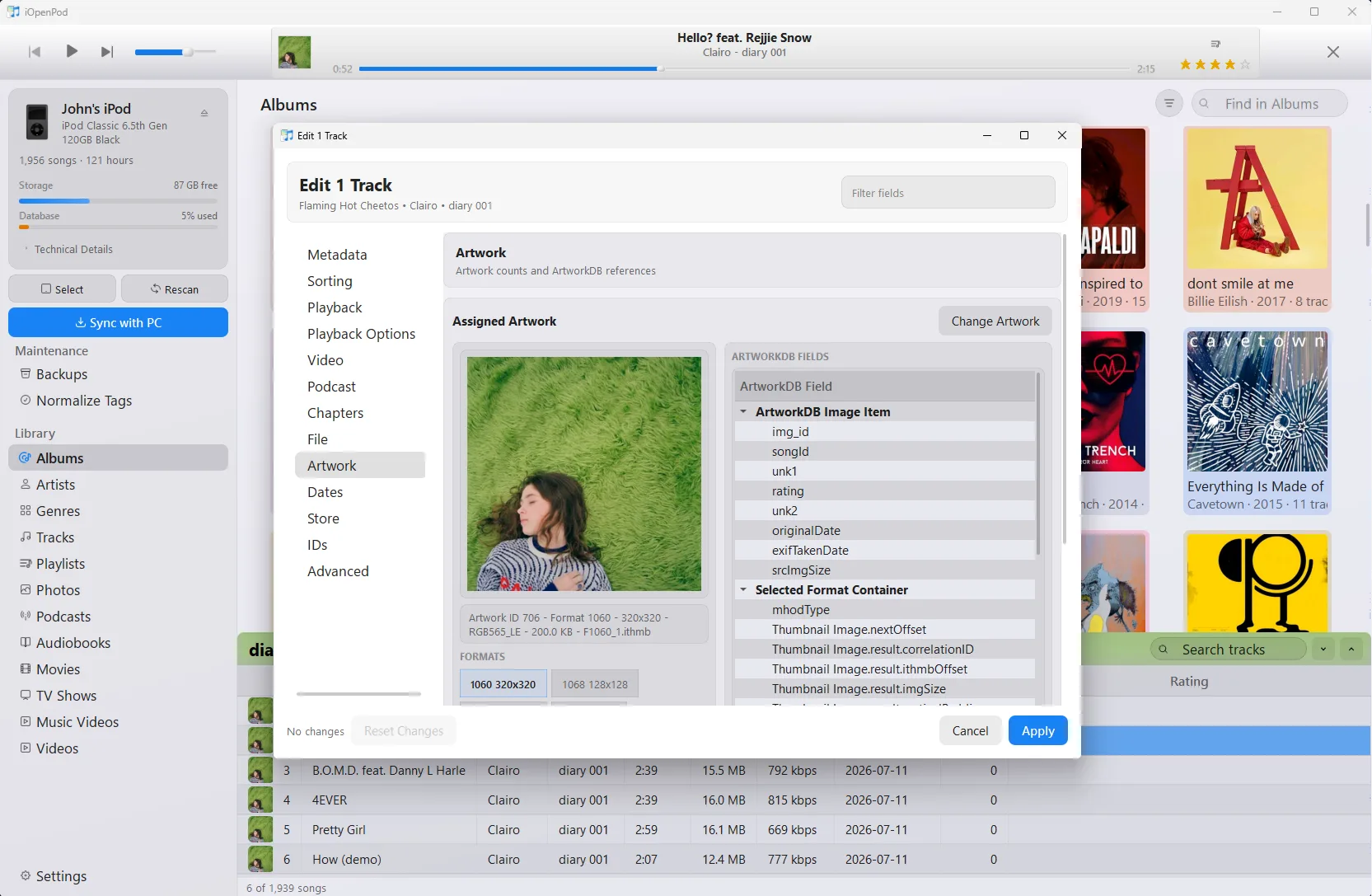 iOpenPod track editor showing assigned artwork, thumbnail formats, and ArtworkDB fields